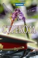 Стрекоза 2018